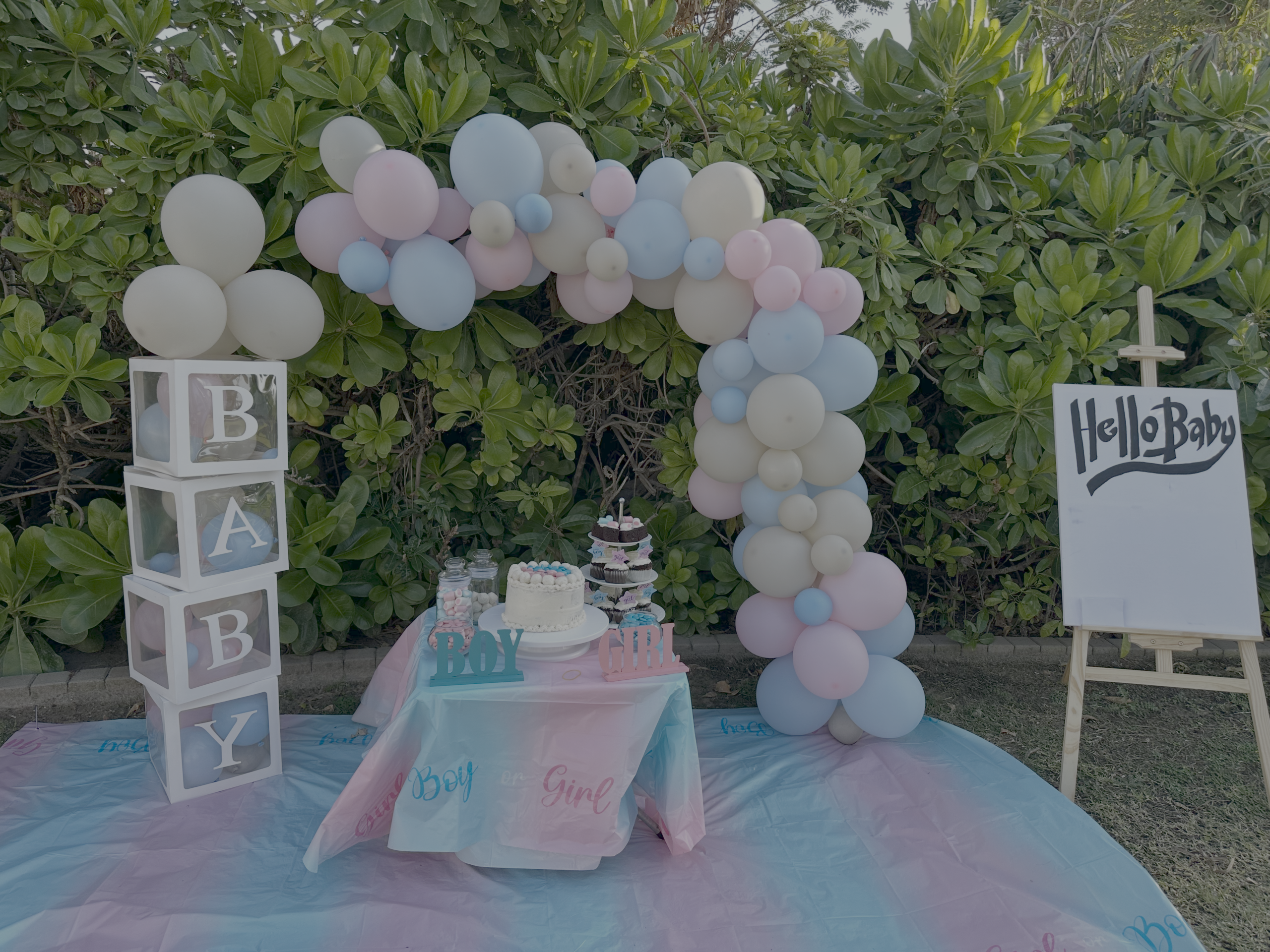 “Hiraya‑styled gender reveal celebration with coordinated decorations, soft pastels, and curated event details.”